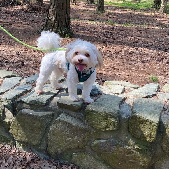 Meet your Posher, Angelique - Picture 3 of 3